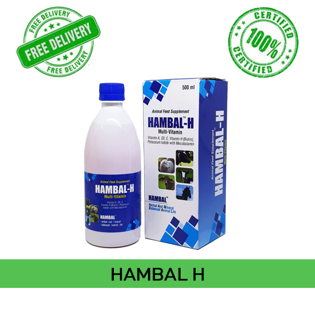 Hambal-H-Dr-Goels